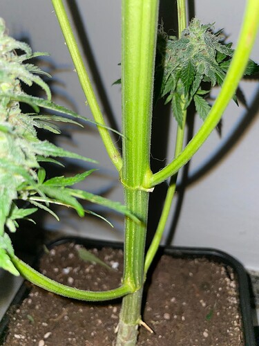 Growreport Bild 24