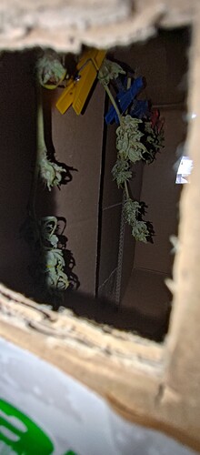 P_20230812_143113