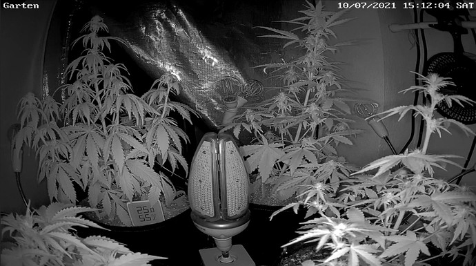 Growreport Bild 13