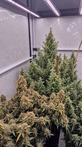 Growreport Bild 15