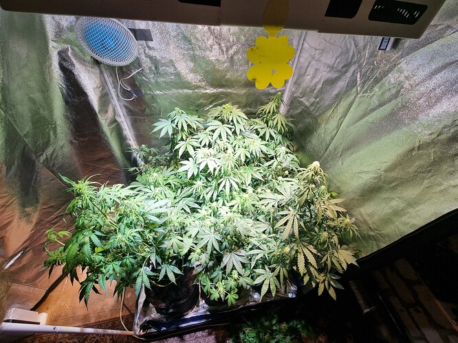 Growreport Bild 4
