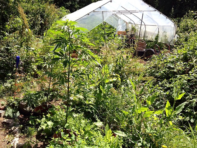 070_SiebterSiebter_17