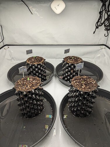 PXL_20231022_165214485