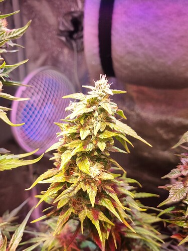 Growreport Bild 22