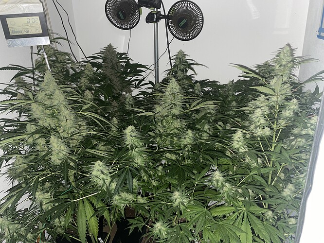 Growreport Bild 10