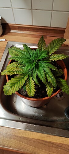 826054ef12e6fd8b1b3628d86fd8cb9d6e870a1b