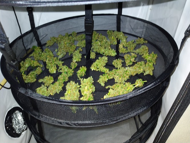 Growreport Bild 4