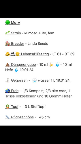 Growreport Bild 3