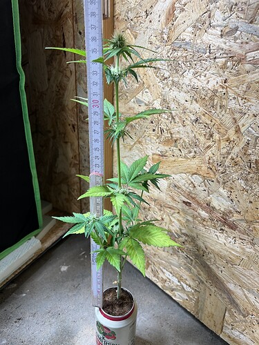 Growreport Bild 12
