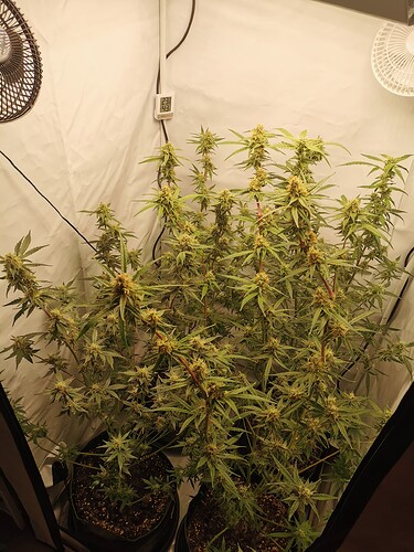 Growreport Bild 2