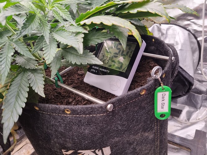 Growreport Bild 33