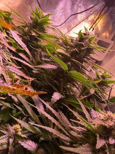 Growreport Bild 18