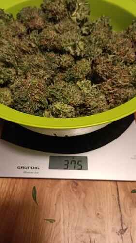 Growreport Bild 12