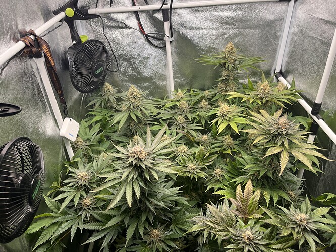 Growreport Bild 4