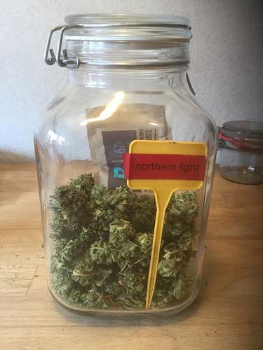 Growreport Bild 1