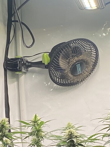 Growreport Bild 9