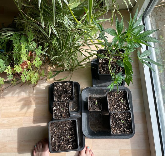 Growreport Bild 11