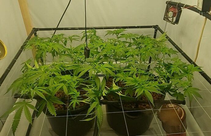 IMG_20221010_204757_458