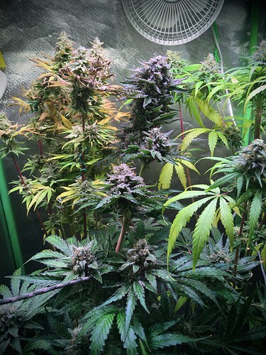 Growreport Bild 14