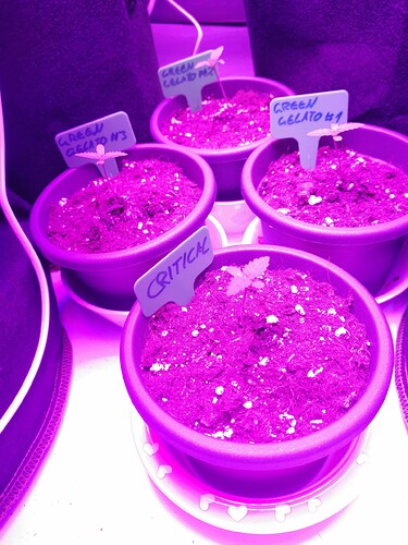 Growreport Bild 21