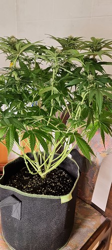 Growreport Bild 10