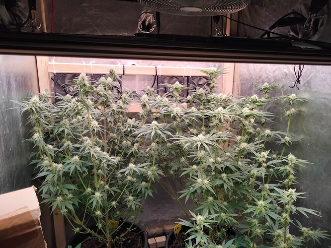 Growreport Bild 8