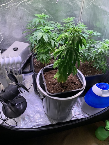 Growreport Bild 5