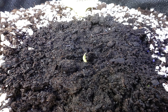 Growreport Bild 17