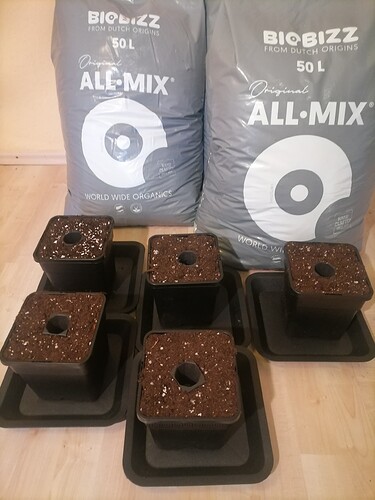 Growreport Bild 30