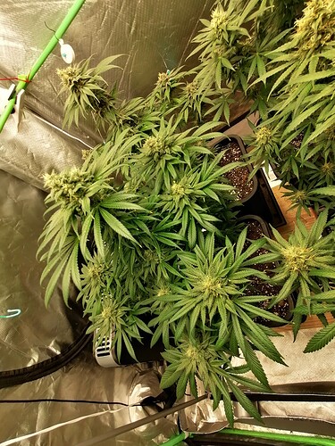 Growreport Bild 11