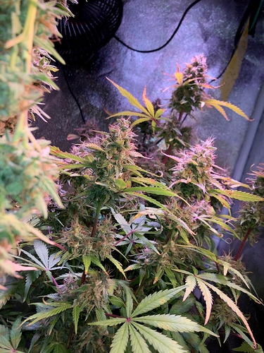 Growreport Bild 12