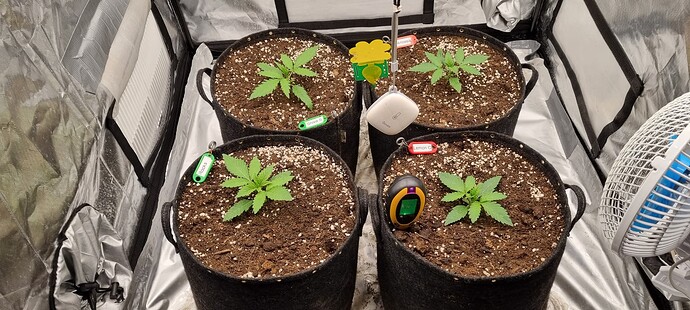 Growreport Bild 5