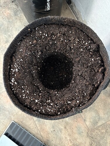 Growreport Bild 118