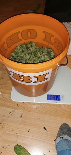 Growreport Bild 14