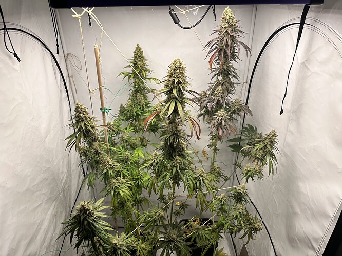 Growreport Bild 18