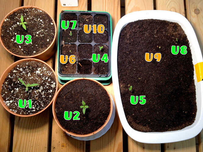 Growreport Bild 54