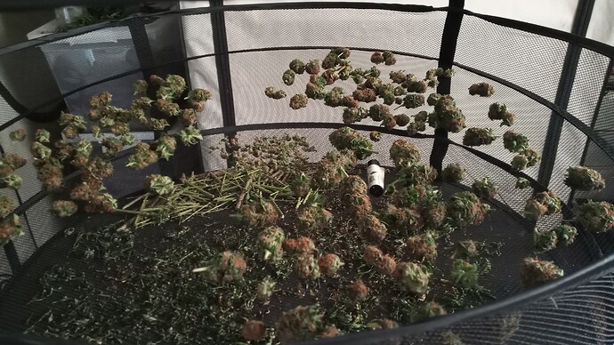 Growreport Bild 49