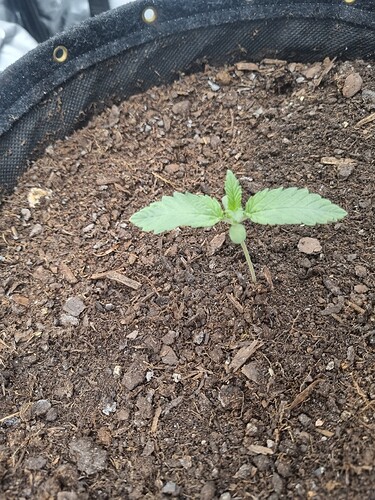 Growreport Bild 10