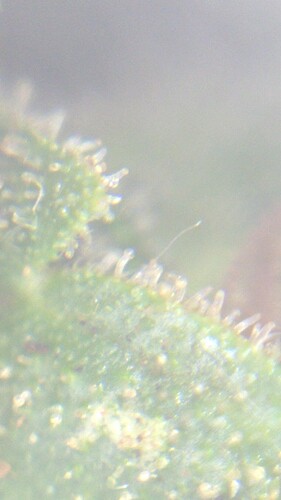 IMG_20230704_013806