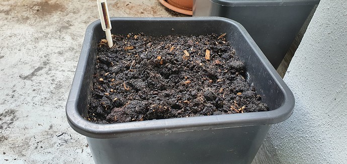 Growreport Bild 14