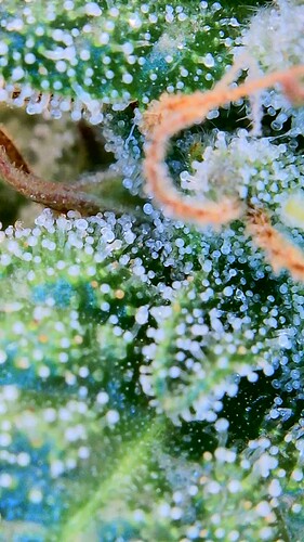 Growreport Bild 10