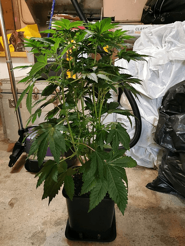 Growreport Bild 12