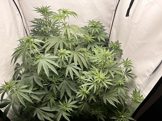 Growreport Bild 14