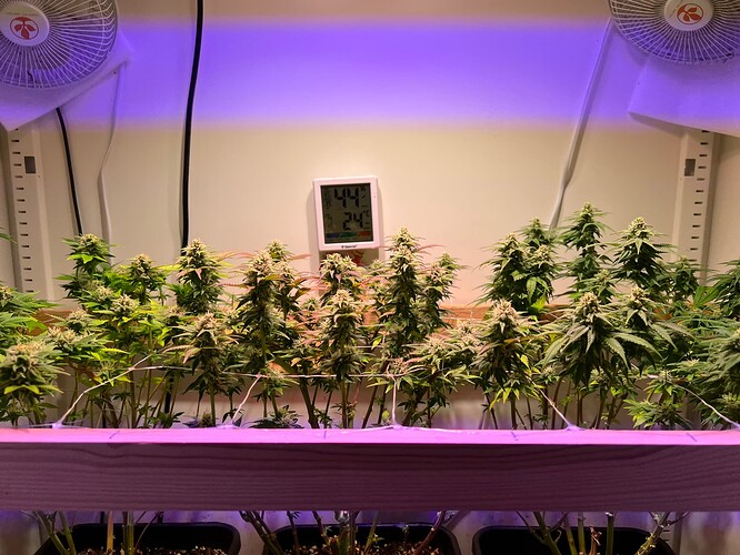 Growreport Bild 17