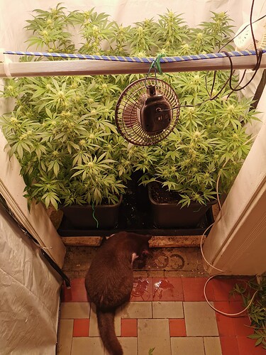 Growreport Bild 2