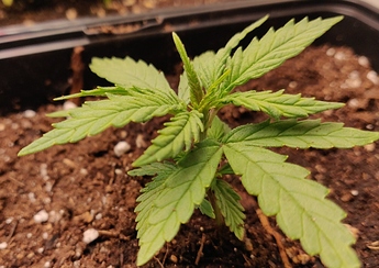 Growreport Bild 10