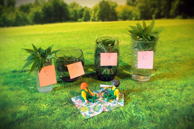 Growreport Bild 11