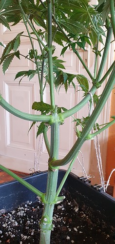 Growreport Bild 5