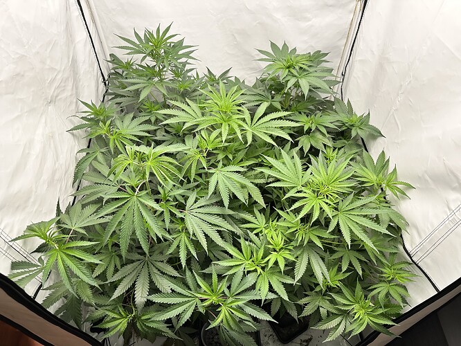 Growreport Bild 4