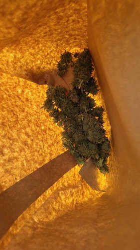 20220110_183419